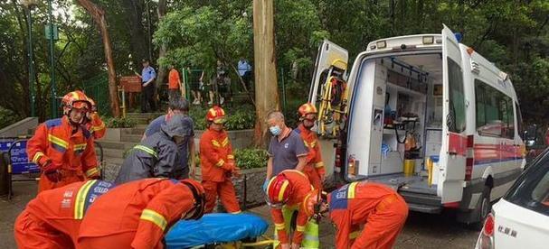 幼犬假死急救全攻略（宠物主人必备的救命知识，如何在紧急情况下保护你的爱宠）