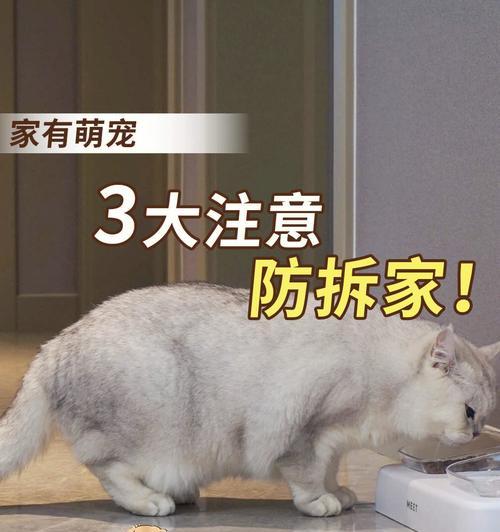 如何保障宠物小狗在家时的安全？（15个实用建议，让您的小狗远离危险！）