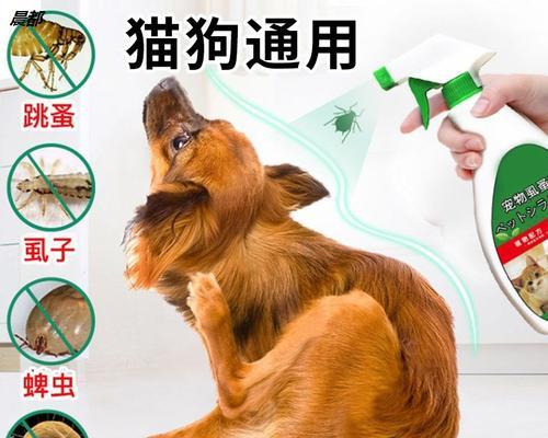 如何检查狗狗身上是否有虱子（掌握这些方法，让宠物免受虱子折磨）