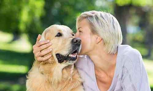 如何避免拉布拉多犬患上口臭（宠物口腔保健的重要性与实用方法）