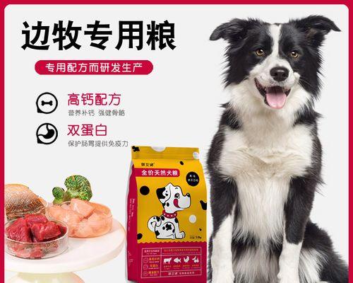 如何为边境牧羊犬补钙（宠物缺钙的表现及补钙方法）