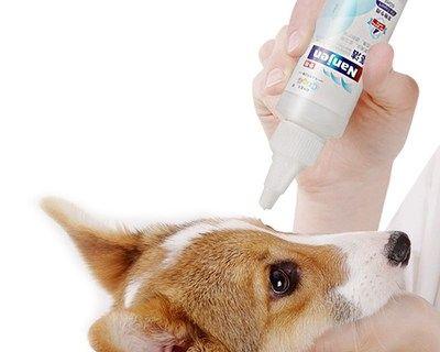 边境牧羊犬眼屎变多怎么办？（全面解析边境牧羊犬眼屎过多的原因和解决方法）