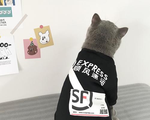 宠物也能快递！（如何安全地将宠物狗寄送到目的地？）