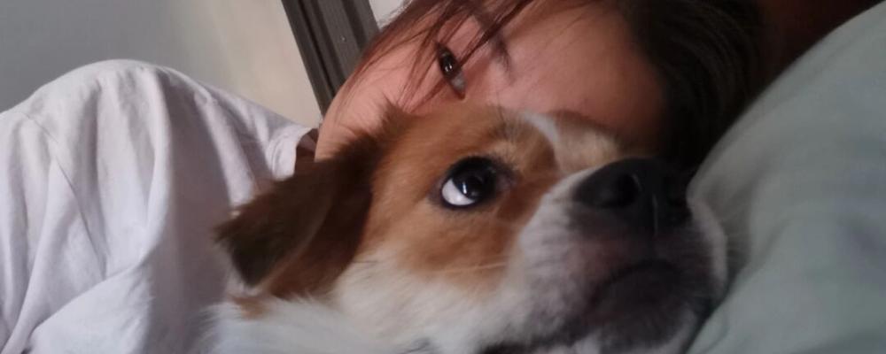 如何看出你的宠物犬患上了忧郁症？（从哪些方面观察你的宠物犬身体和行为变化？）