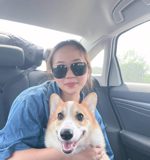 带狗狗旅游的奇妙经历（宠物之旅让生活充满惊喜）