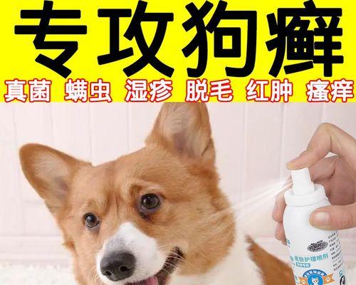 狗狗湿疹皮肤病的成因（探究狗狗湿疹的诱因及其解决方法）
