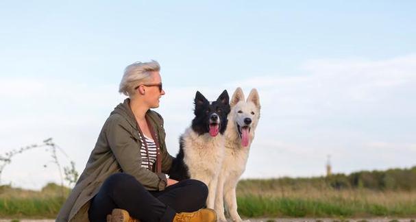 德国牧羊犬肥胖的危害（宠物健康重要性和预防措施）