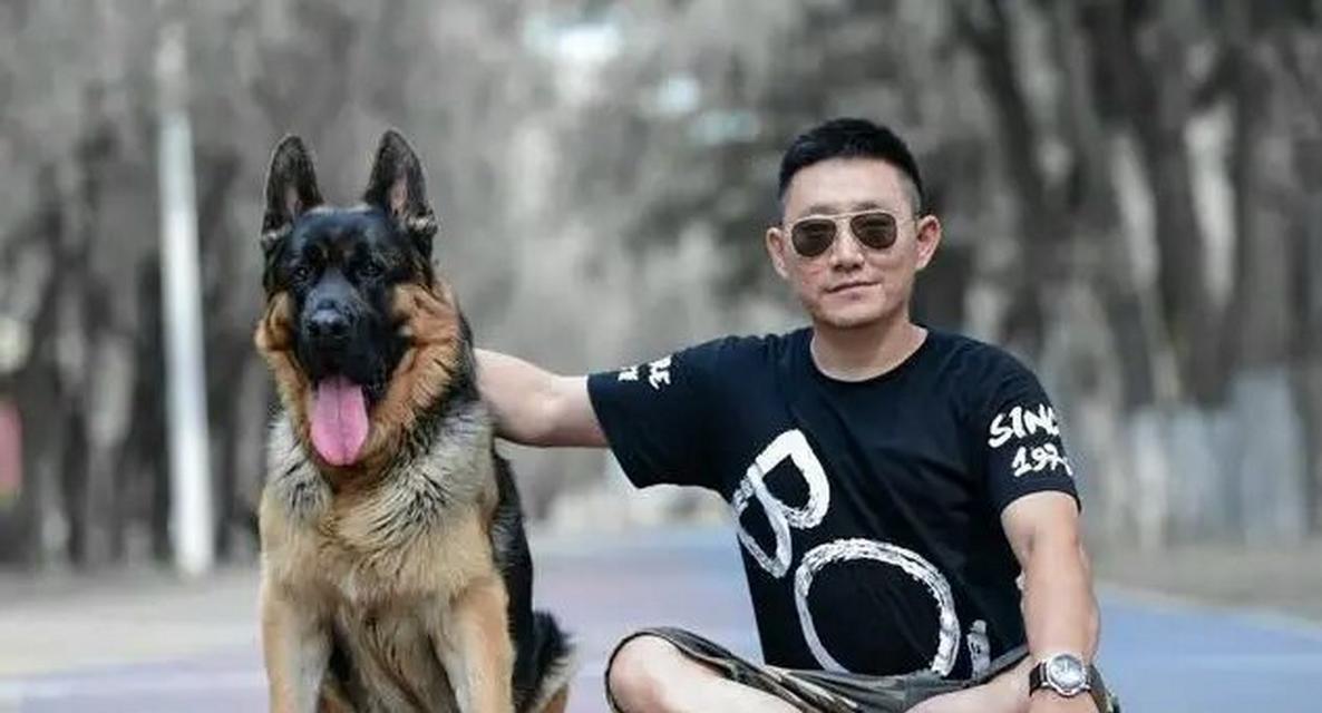 如何为怀孕的德国牧羊犬提供健康饮食（营养均衡的狗粮是）
