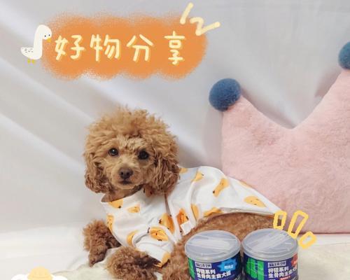DIY手工狗狗主食，健康又美味（15种DIY手工狗狗主食，满足你家宠物的口味）