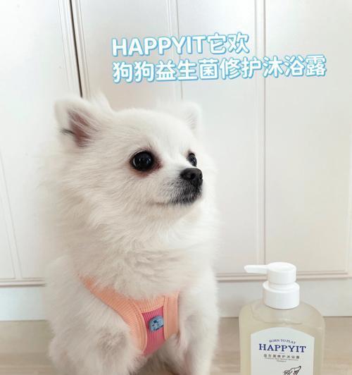 如何选择适合博美狗狗的沐浴露（宠物专用沐浴露种类推荐及使用技巧）