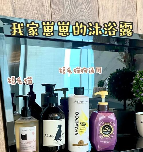 如何选择适合猫咪的沐浴露？（宠物沐浴要注意什么？-）