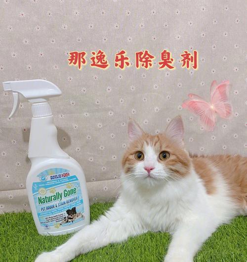 宠物洗澡建议（让你成为给养宠新手中的专业洗浴师）