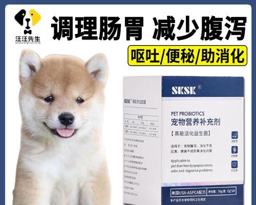 狗狗拉肚子的原因和治疗方法（宠物养护指南，狗狗拉肚子解决方案）