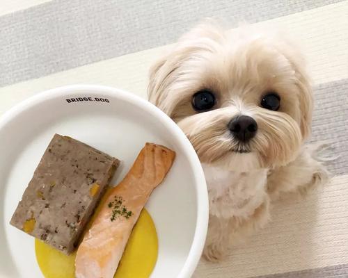 如何科学饲喂狗狗三类食物（科学饲喂让爱宠健康成长，为您揭秘狗狗饮食的奥秘）