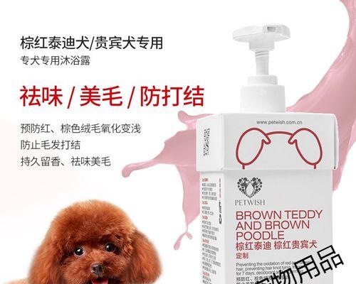 如何选择洗狗沐浴露让宠物毛发亮丽（选择合适的洗浴用品，轻松打造宠物美容）