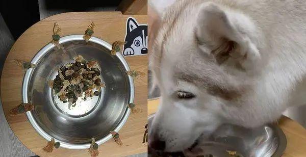 探究哈士奇不好好吃饭的原因（宠物饮食健康问题的思考与解决）