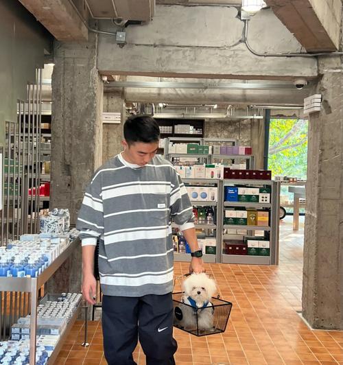 以马尔济斯的骨、肌肉和关节疾病为主题的宠物养护指南（如何预防和治疗马尔济斯的骨、肌肉和关节疾病？）