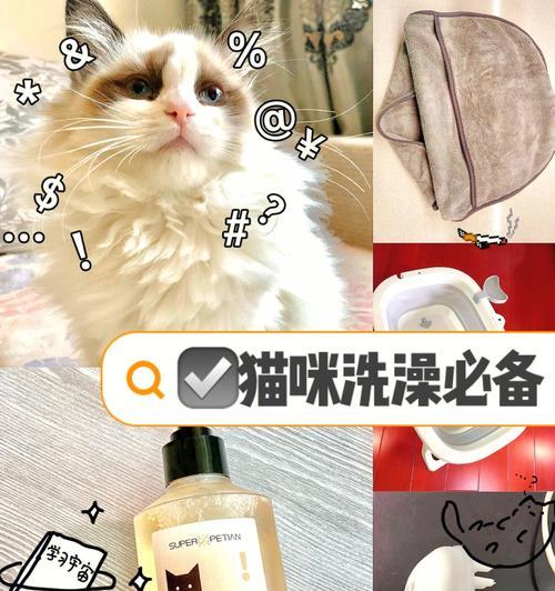 如何为宠物猫咪选择适合的沐浴露？（挑选猫咪沐浴露的关键）