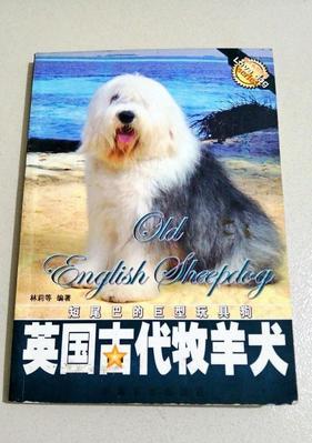 英国古代牧羊犬的历史（从古至今，这个宠物一直在我们身边）