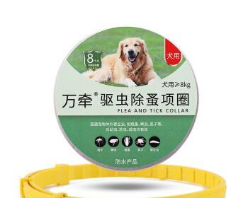 如何选择安全的猫咪除蚤项圈（保护爱宠，远离危险/猫咪除蚤必知的几点/安全第一）
