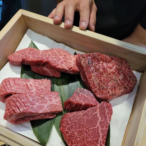 如何让你的圣伯纳长胖？（给你的宠物增重的10种食物。）