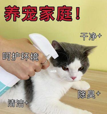 宠物养护指南（秋冬养宠注意事项，让宠物度过温暖的冬季）