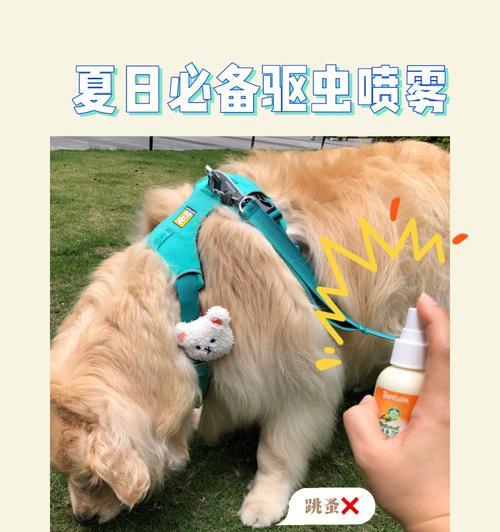 狗狗的健康与跳蚤、虱子的影响（宠物主人必知的跳蚤、虱子防治方法）