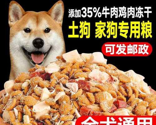 贵宾犬为什么要定期更换狗粮？（了解贵宾犬食物需求，避免健康问题）