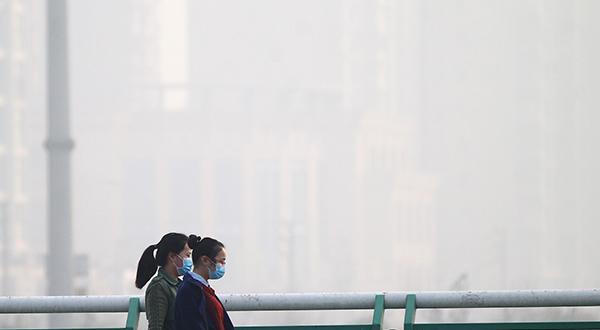 雾霾天气下狗狗出行需注意（宠物主人要了解的雾霾安全知识）