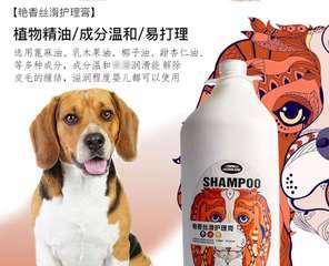 如何选择适合宠物的沐浴露（为您的狗狗提供最佳护理体验）
