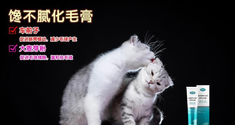 小猫不会嚼猫粮，只会吞怎么办？（宠物养护指南）
