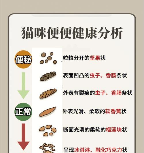 宠物小猫拉出什么样的屎正常吗？（了解小猫的排便情况，宠物生活更健康）
