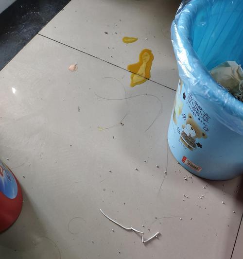 宠物小猫吐黄水拉稀不吃不喝怎么办？（家养小猫生病了，如何护理？）