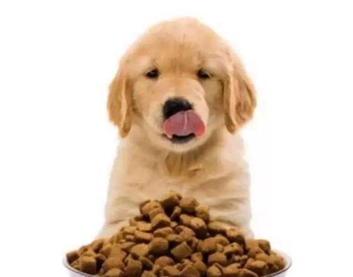 幼犬狗粮日常饮食管理指南（掌握幼犬适量进食健康成长从细节开始）