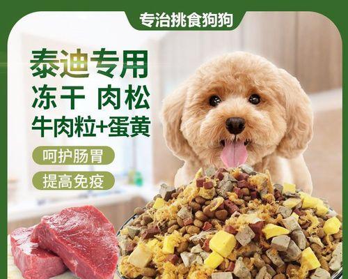 3个月泰迪狗狗的饮食管理（合理的狗粮喂养方法）
