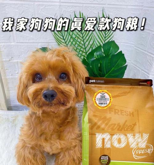 宠物狗吃狗粮一顿应该吃多少？（以4个月狗吃狗粮为例，让您的爱犬健康饮食）