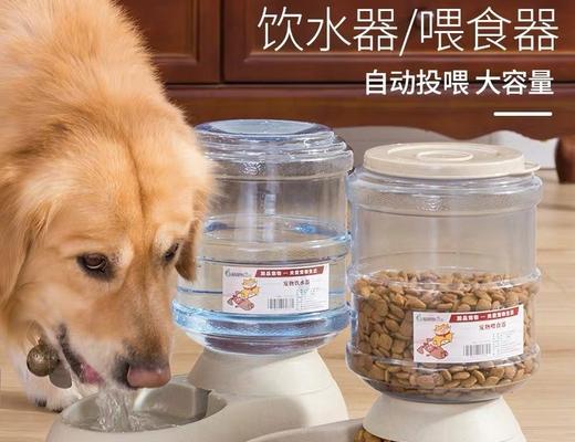 成年金毛每顿吃多少狗粮？（探究金毛饮食需求，让你的宠物吃得健康）