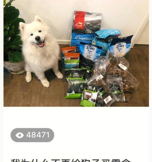 二十天小狗的健康饮食指南（为宠物狗提供营养均衡的食物，让它快乐成长）