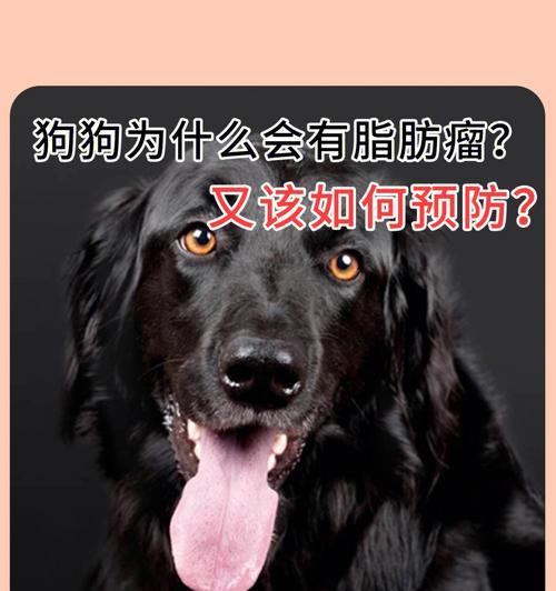 宠物狗肿瘤变硬到底是什么意思？（狗肿瘤变硬的原因与治疗方法，关注宠物健康需知道的15点）