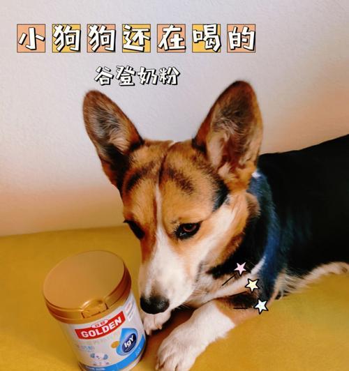 狗狗可以天天吃羊奶粉吗？（探究狗狗吃羊奶粉的注意事项与建议）