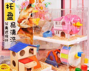 如何正确饲养子午沙鼠？（以宠物为主，让子午沙鼠成为你的贴心伙伴）