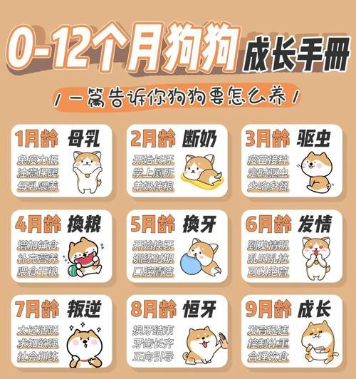 大白熊犬喂养手册，养一只健康的宠物（从饮食到运动，一切都在掌握中）