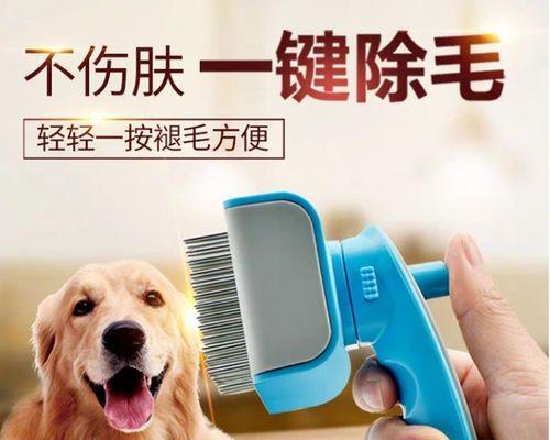 让狗狗身体更健康（让狗狗身体更健康）