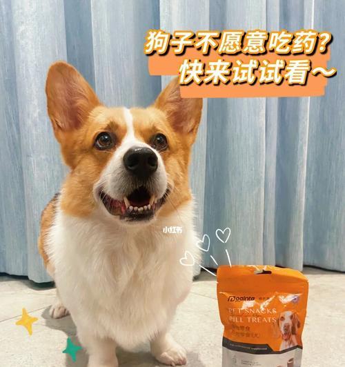 如何让宠物狗不吃药也能保持健康