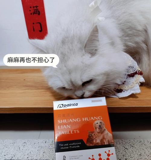 狗狗必备药，健康宠物从此不用愁（了解这些药品，让你成为爱宠人士）