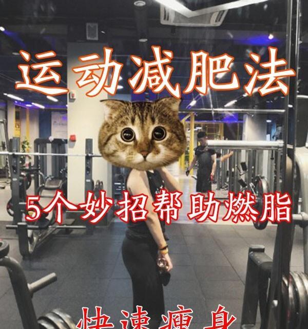 狗狗如何减肥？（运动是最好的方法！）