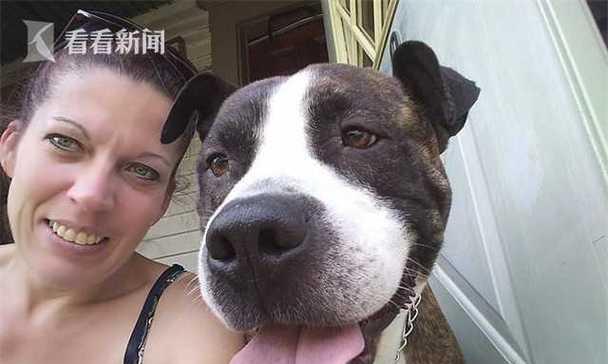 狗狗是否会患上羊癫疯？（探究宠物羊癫疯的症状、治疗和预防措施）