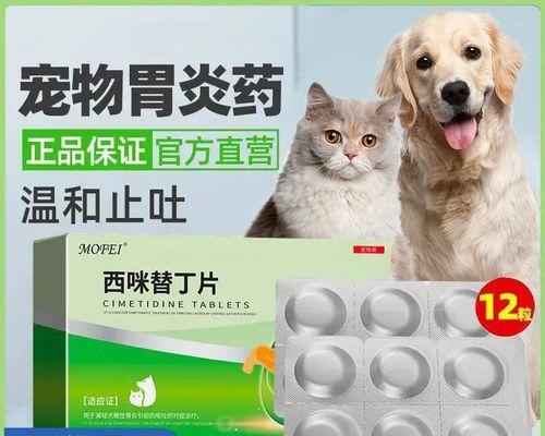 狗狗呕吐的原因、治疗和预防（宠物主人必看！解决狗狗呕吐问题的完整指南）