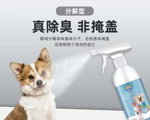 如何消除狗狗身上的臭味（以宠物为主，轻松解决异味问题）