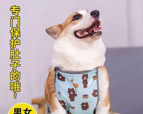 狗狗着凉了怎么办？15个关键要点！（宠友必知的狗狗着凉应急处理技巧，让您的爱犬健康度过寒冬。）